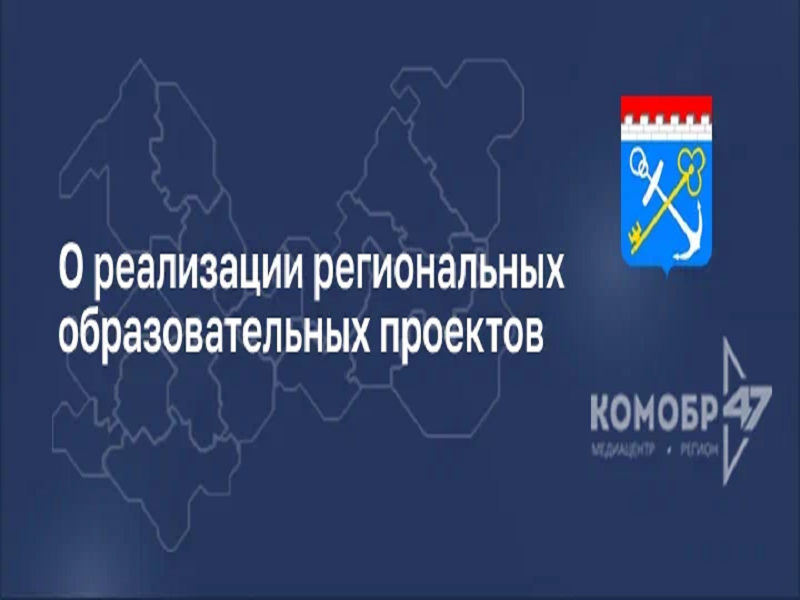 О реализации региональных образовательных проектов.